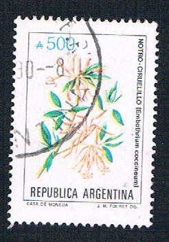 Buy Argentina 1688 Used Flower (BP1884)