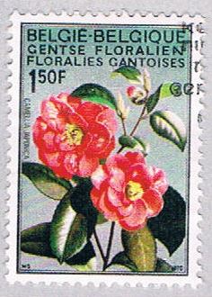Buy Belgium 734 Used Camellia (BP1653)