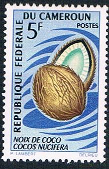 Buy Cameroun 464 MLH Coconut (BP659)