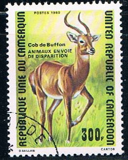 Buy Cameroun 679 Used Buffon de Kob 1980 CV 1.20 (C0256)+