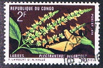 Buy Congo PR 223 Used Flower (BP445)
