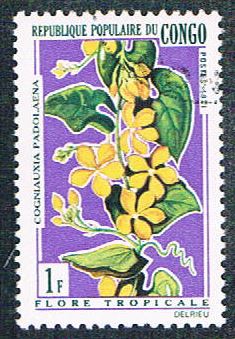 Buy Congo PR 237 Used Flowers (BP3820)