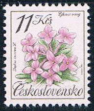 Buy Czechoslovakia 2842 Unused Daphne Cneorum CV 3.25 (C0260)+