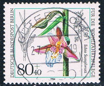 Buy Germany 9NB218 Used Orchid 1984 CV 2.10 (G0473)