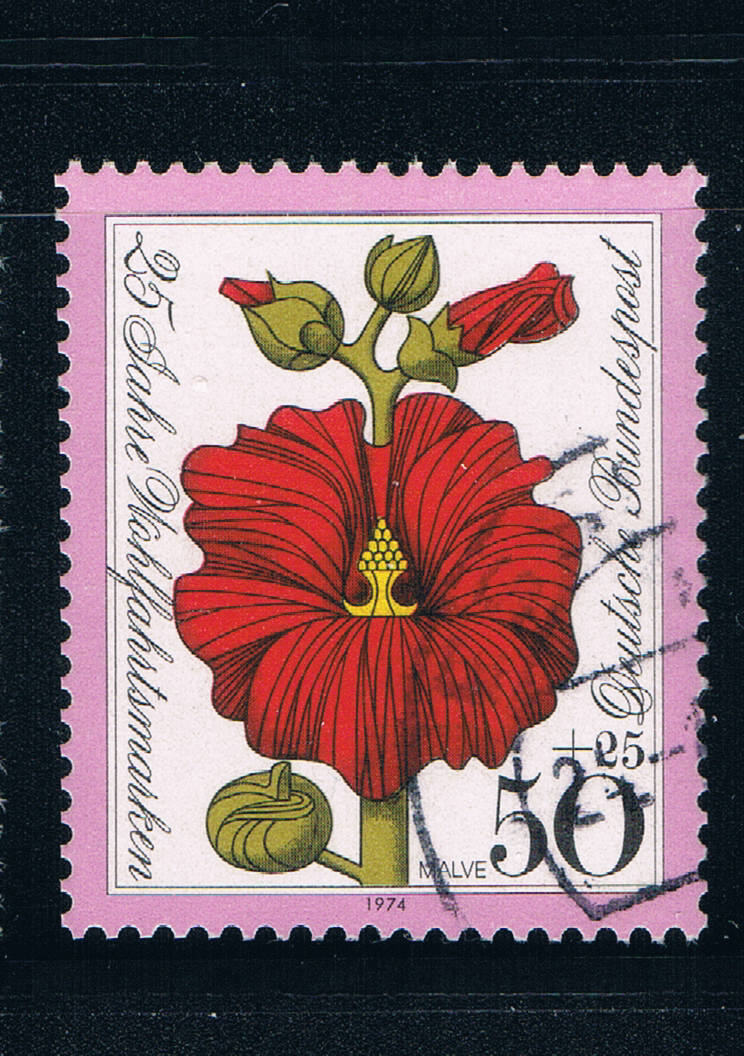 Buy Germany B514 Used Flowers (GI0174P20)