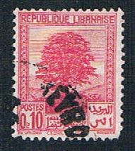 Buy Lebanon 137 Used Cedar of Lebanon (BP241)