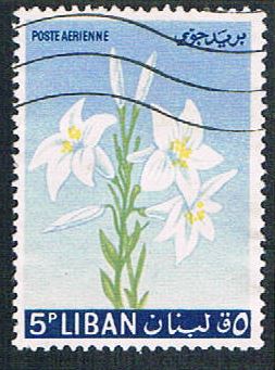 Buy Lebanon C391 Used Lily (BP272)