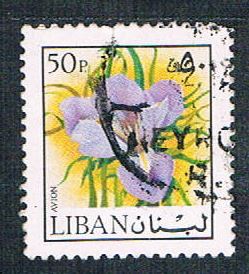 Buy Lebanon C663 Used Iris (BP1922)
