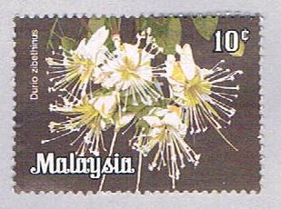 Buy Malaysia 194 Used Durio zibethinus (BP24315)