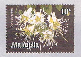 Buy Malaysia 194 Used Durio zibethinus (BP24316)