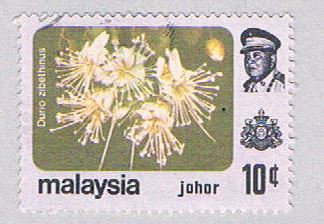 Buy Malaysia Johor 186 Used Rhododendren (BP24626)