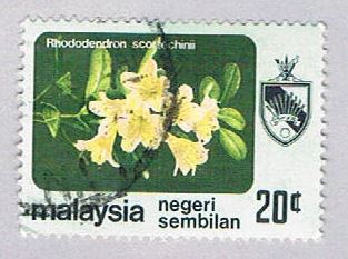 Buy Malaysia Negri Sembilan 97 Used Rhododendren (BP24327)