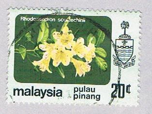 Buy Malaysia Penang 86 Used Rhododendren (BP24525)