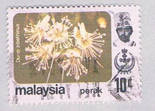 Buy Malaysia Perak 156 Used Durio zibethinus (BP24527)