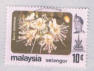 Buy Malaysia Selangor 138 Used Durio zibethinus (BP2469)