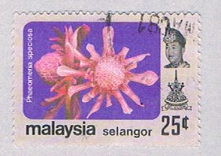 Buy Malaysia Selangor 141 Used Paheomeria (BP24621)