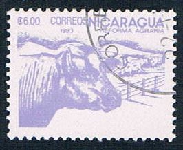 Buy Nicaragua 1302 Used Cattle ur 1983 (N0609)+