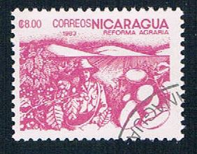 Buy Nicaragua 1304 Used Coffee beans lr 1983 (N0626)+