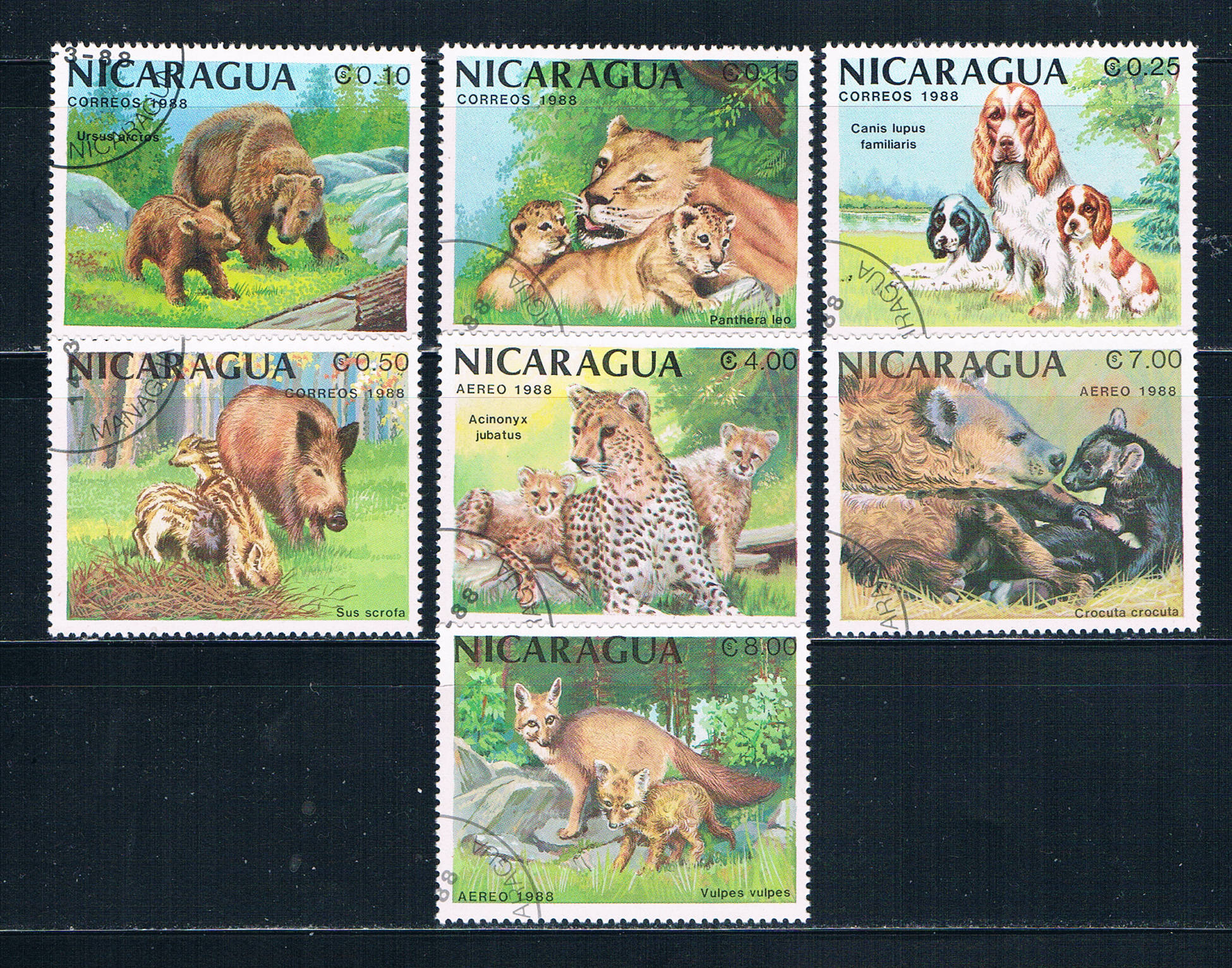 Buy Nicaragua 1703-09 Used set Animals 1988 CV 2.85 (HV0115)+