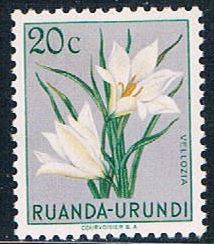 Buy Ruanda Urundi 116 Unused Flower Vellozia 1953 (R0240)+