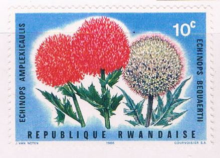 Buy Rwanda 151 Unused Globe Thistle 1966 (R0535)