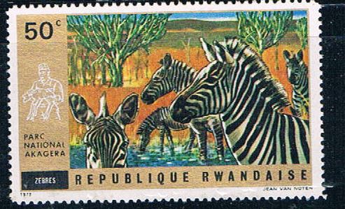 Buy Rwanda 446 Unused Zebras (R0358)+