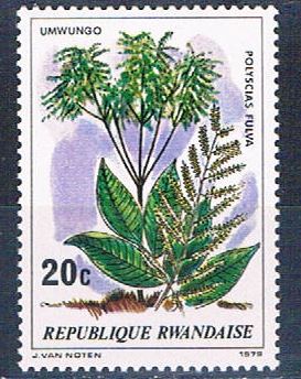 Buy Rwanda 915 Unused Plant Polyscias (R0387)+