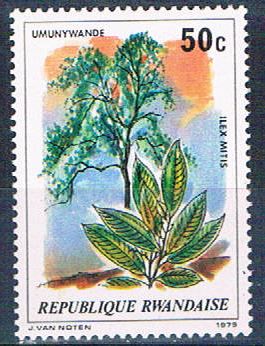 Buy Rwanda 917 Unused Plant Ilex Mitis (R0389)+