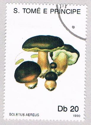 Buy Saint Thomas and Prince Is 938 Used Mushrooms CV 1.75 (BP2043)