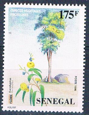 Buy Senegal 1233 Unused Eucalyptus Plant 1997 (S0805)+