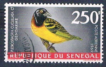 Buy Senegal C55 Used Bird Village Weaver ll 1969 CV 1.75 (S0820)+