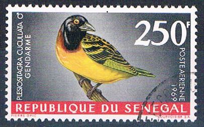 Buy Senegal C55 Used Bird Village Weaver lr 1969 CV 1.75 (S0822)+