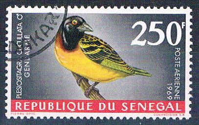 Buy Senegal C55 Used Bird Village Weaver ul 1969 CV 1.75 (S0819)+
