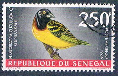 Buy Senegal C55 Used Bird Village Weaver ur 1969 CV 1.75 (S0821)+