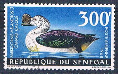 Buy Senegal C56 Used Knob Gilled Goose ll 1969 CV 3.00 (S0824)+