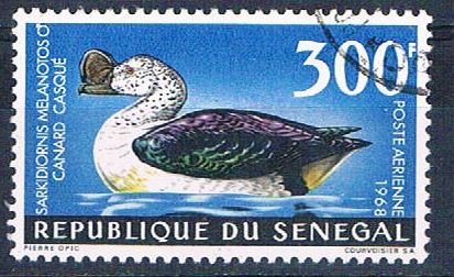 Buy Senegal C56 Used Knob Gilled Goose ur 1969 CV 3.00 (S0825)+