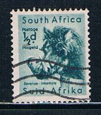 Buy South Africa 200 Used Wart Hog (S0464)