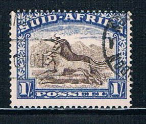 Buy South Africa 62h Used Gnu (S0484)