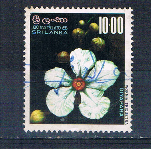 Buy Sri Lanka 498 Used Wormia triquetra flower 1976 CV 4.50 (S1151)+
