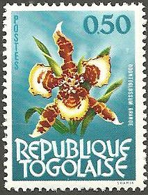 Buy Togo 461 MLH Orchid CV 1.25 (GI0131)