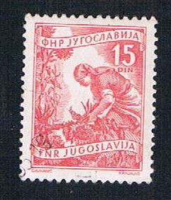 Buy Yugoslavia 384 Used Gathering Sunflowers (BP16026)