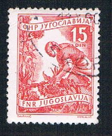 Buy Yugoslavia 384 Used Gathering Sunflowers (BP16027)