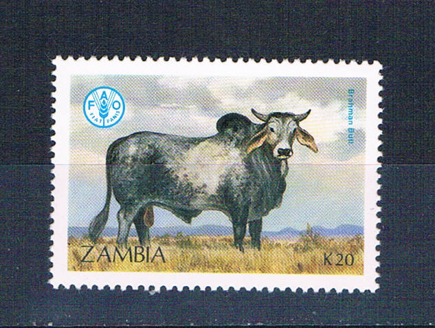 Buy Zambia 421 Unused Cattle Brahma 1987 CV 1.90 (Z0010)+