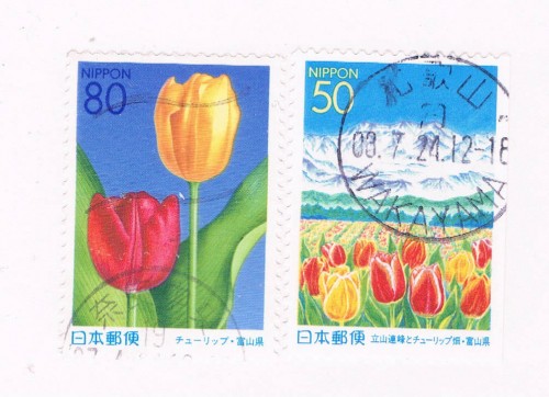 Buy Japan Prefecture Used Set Z403-04 Tulips CV 1.25 (JZ115)