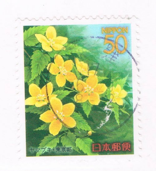 Buy Japan Prefecture Used Z676 Flowers CV .65 (JZ420)+