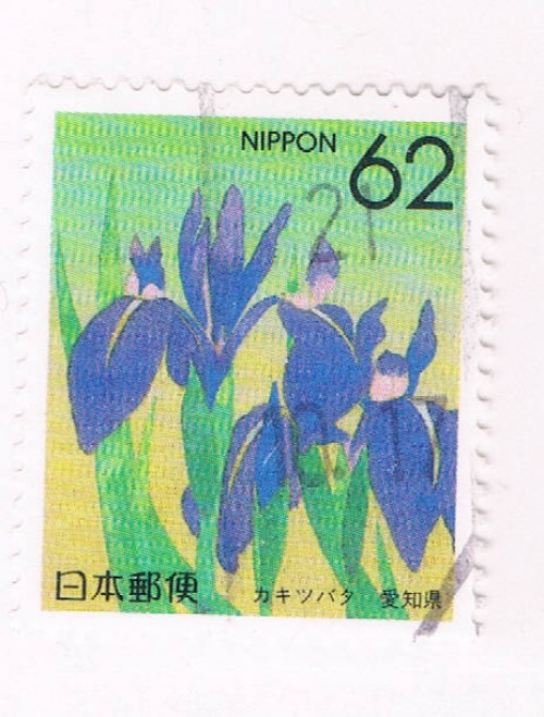 Buy Japan Prefecture Used Z45 Rabbit-ear iris CV .75 (JZ455)+