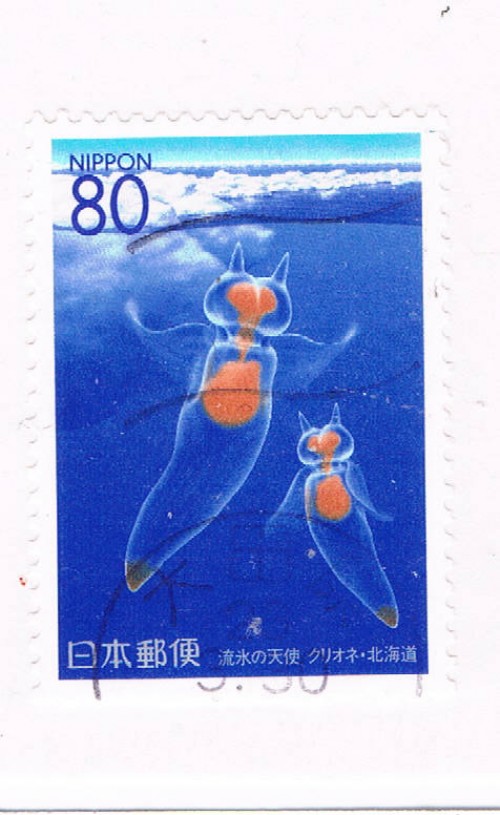 Buy Japan Prefecture Used Z180 Clione Limancia CV .75 (JZ523)+