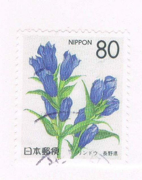 Buy Japan Prefecture Used Z197 Bell Flower CV .75 (JZ531)+