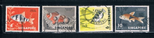 Buy Singapore 54-57 Used Tropical Fish (S0266)
